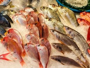 Fiskbearbetningsenzymer