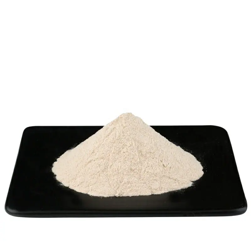 Pure Natural Bulk Enzyme Catalase Powder CAS 9001-05-2 High Enzyme Activity 50000u/g