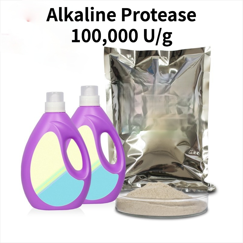 Alkaline Protease 100