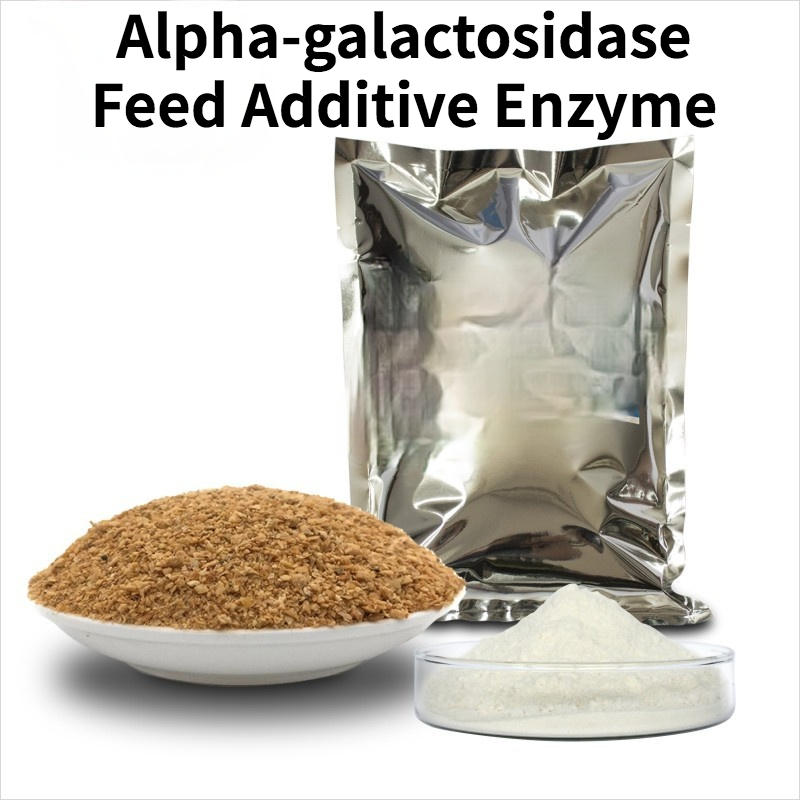 Α-Galactosidase Feed Additive Biological Enzyme Preparation