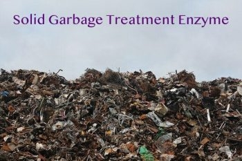 Solid Garbage Treatment Enzyme