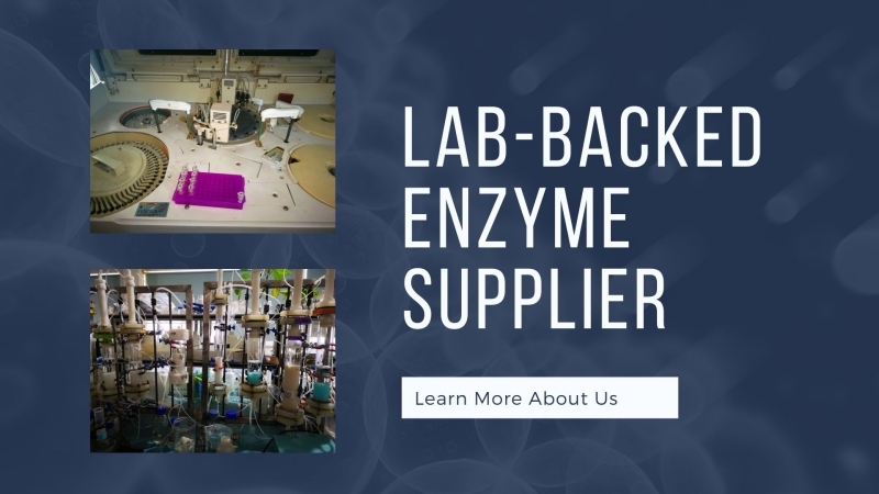 Lab-backed Enzyme Supplier - EnzymesBio