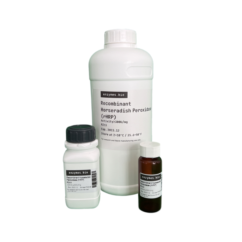 Recombinant Horseradish Peroxidase (rHRP)